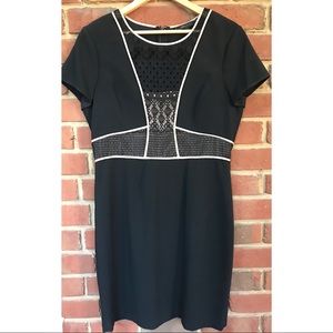 BCBG Black Dress with Blush Pink Details